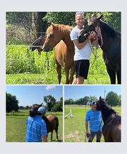 Learn to Live Recovery Offers Equine Therapy