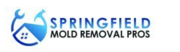 Springfield Mold Removal Pros