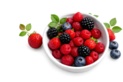 Premium Multivitamin, Shilajit & Sleep Gummies | Gummies Nest